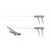 Spine