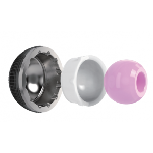 Ceramic Head and Insert - Hip Prosthesis Components