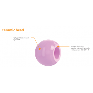 aap Ceramic Head and Insert for Hip Prosthesis