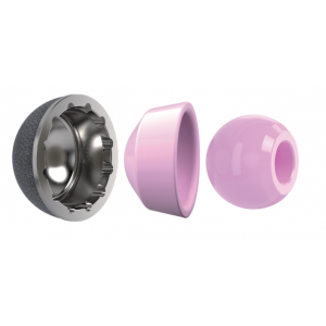Ceramic Head and Insert - Hip Prosthesis Components Ceramic Head and Insert - Hip Prosthesis Components