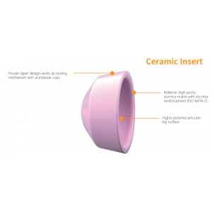 aap Ceramic Head and Insert for Hip Prosthesis