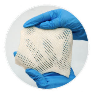 Substrat Dermal Aselular AlloSource AlloSkin AC (AlloSource AlloSkin AC Acellular Dermal Substrate)