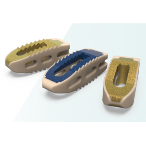 Sangkar Antara Vertebra Lumbar Canis - Implan Fusi Spina Titanium/PEEK