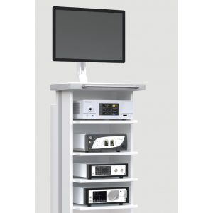 Endovision Bi-portal Total Solution System