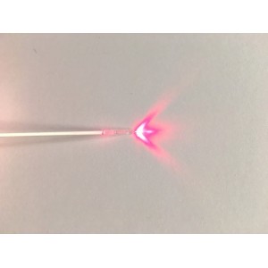 Eufoton Hemofiber | Prime Medical Concept 具备锥形尖端和 360 度径向激光发射的 Eufoton Hemofiber 探头