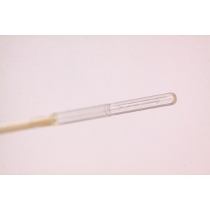 Eufoton High Focused (HF) Ring Fibers | Prime Medical Concept 具备圆润锥形尖端和 360 度径向激光光斑发射的 Eufoton High Focused HF Ring Fiber 探头